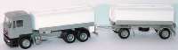 MAN F2000 TankHgz 3/2 grau/wei�