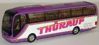 MAN_Lion�s Coach <br><small>ab 2003</small>