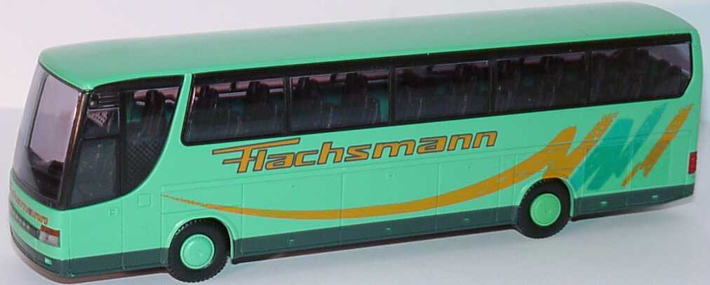 Foto 1:87 Kässbohrer-Setra S 315 HDH Flachsmann Rietze