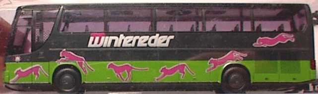 Foto 1:87 Kässbohrer-Setra S 315 HDH Wintereder Rietze