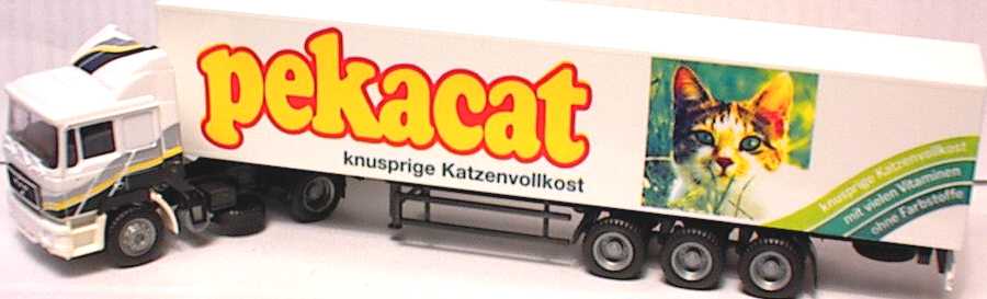 Foto 1:87 MAN F90 Fv KoSzg 2/3 Pekacat Albedo