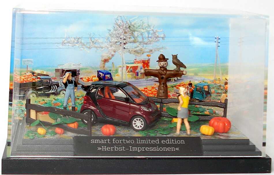 Foto 1:87 Smart Fortwo II Cabrio Herbstdiorama Herbst-Impressionen Werbemodell Busch B66961394