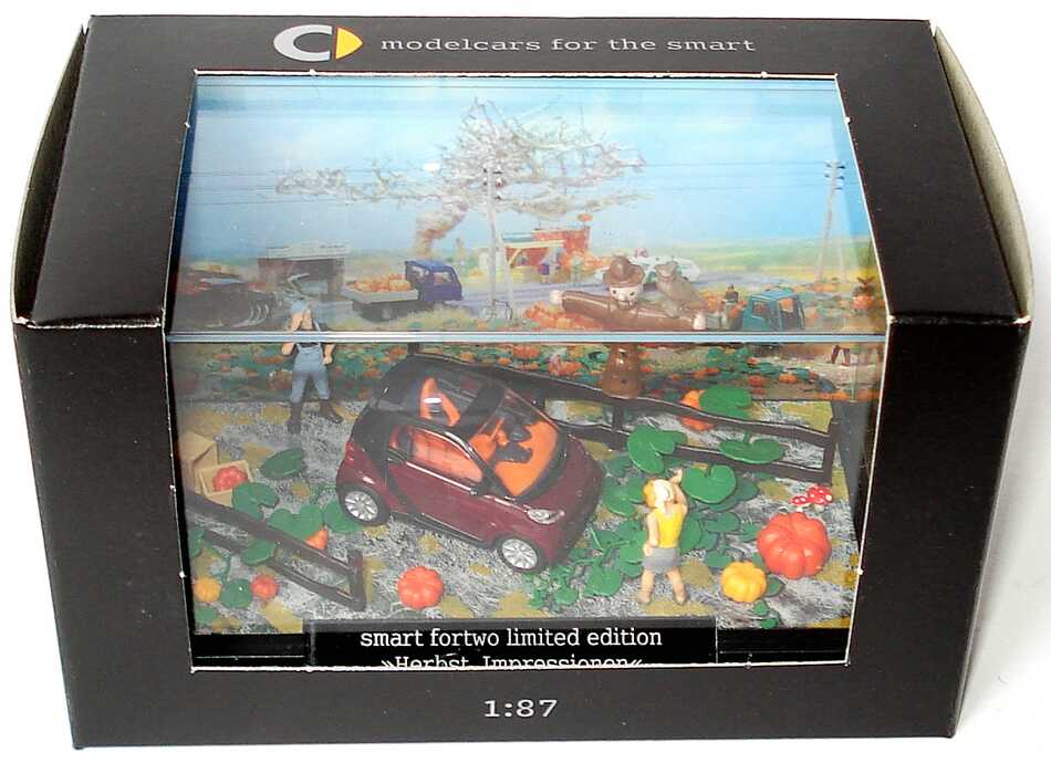 Foto 1:87 Smart Fortwo II Cabrio Herbstdiorama Herbst-Impressionen Werbemodell Busch B66961394